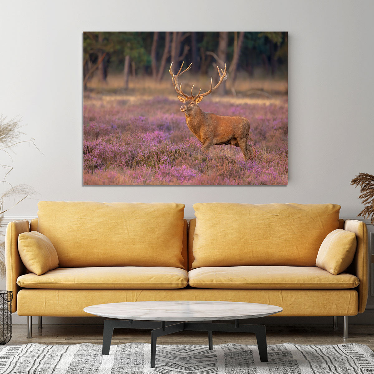 Male red deer Cervus elaphus with antlers during mating season Canvas Print or Poster - Canvas Art Rocks - 4