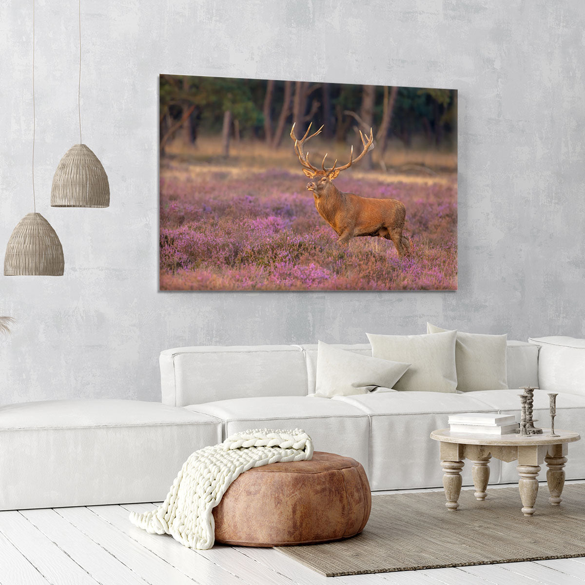 Male red deer Cervus elaphus with antlers during mating season Canvas Print or Poster - Canvas Art Rocks - 6