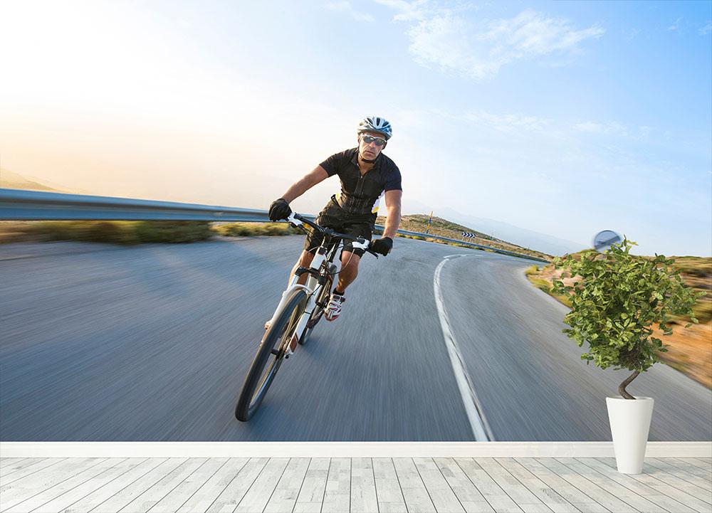 Man riding mountain bike sunny day Wall Mural Wallpaper Canvas