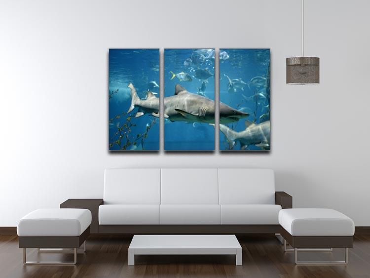 Marine fish underwater 3 Split Panel Canvas Print - Canvas Art Rocks - 3