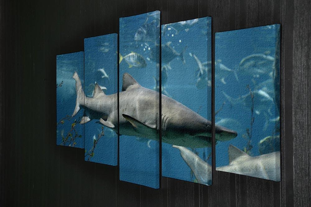 Marine fish underwater 5 Split Panel Canvas  - Canvas Art Rocks - 2