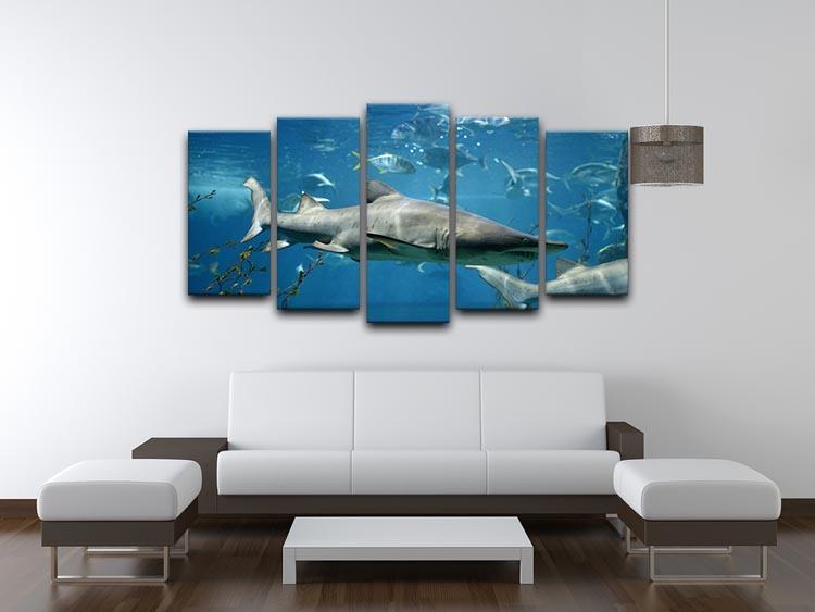 Marine fish underwater 5 Split Panel Canvas  - Canvas Art Rocks - 3