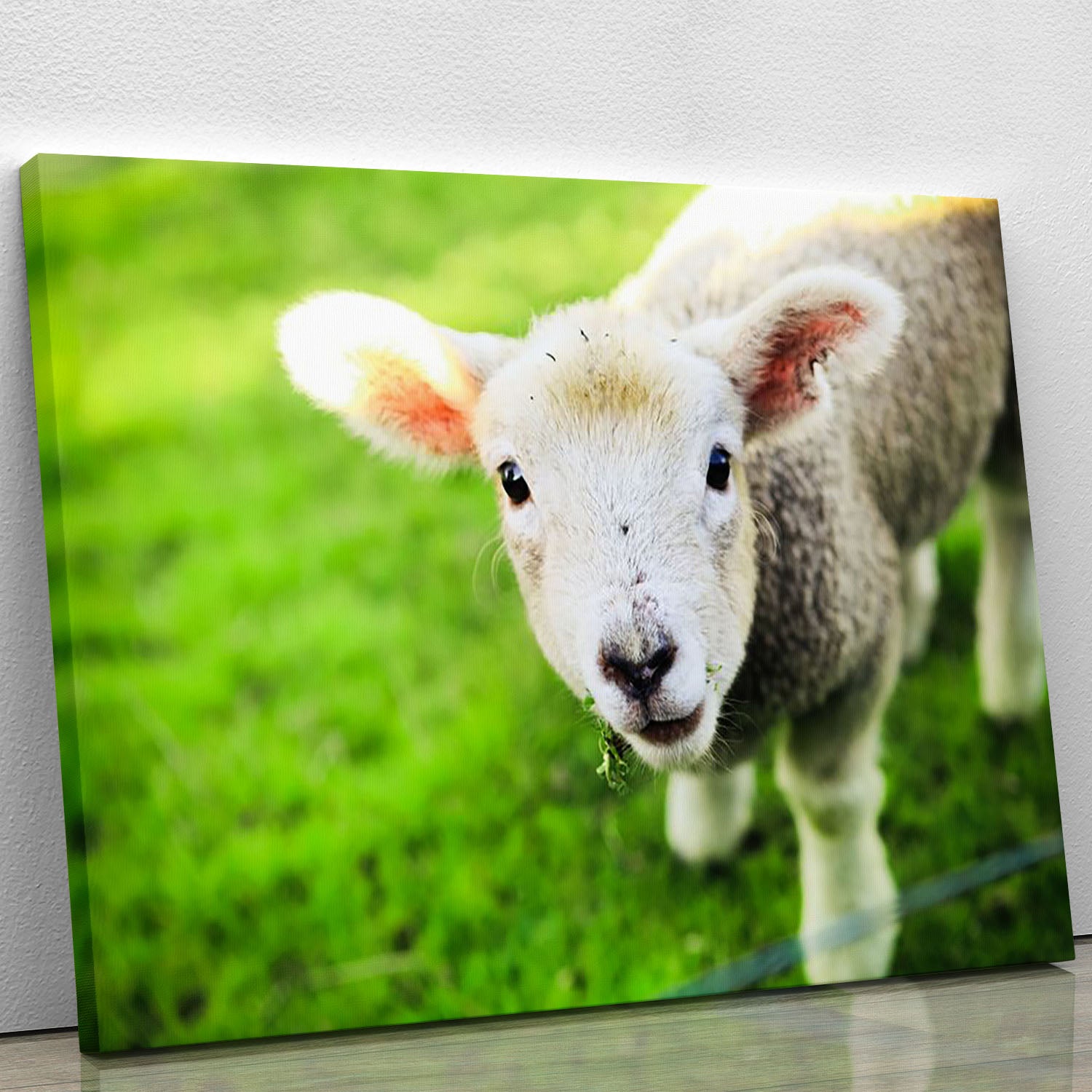 Mary had a little lamb Canvas Print or Poster - Canvas Art Rocks - 1