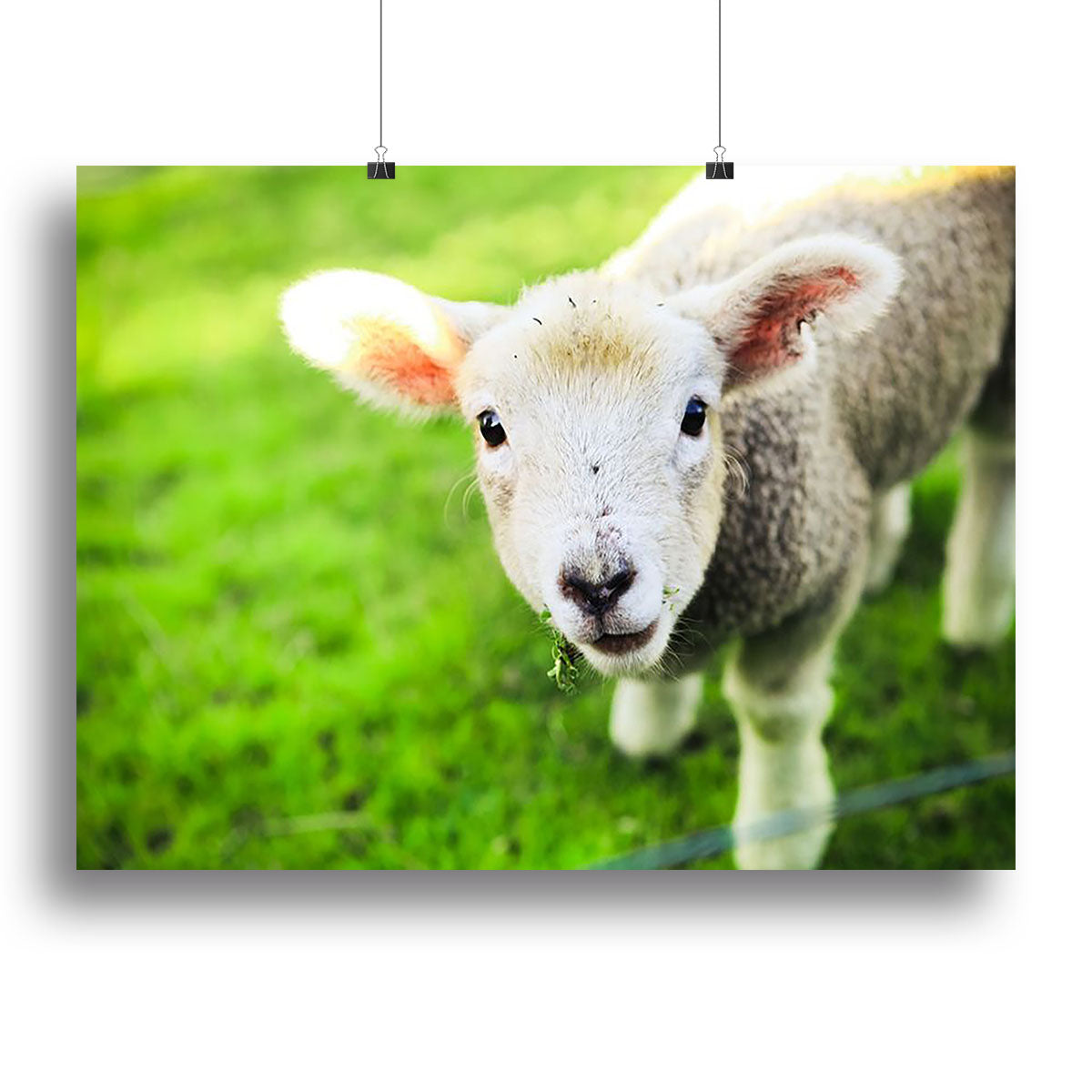Mary had a little lamb Canvas Print or Poster - Canvas Art Rocks - 2