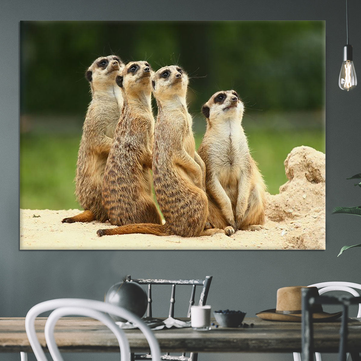 Meerkats Suricata all sit together Canvas Print or Poster - Canvas Art Rocks - 3