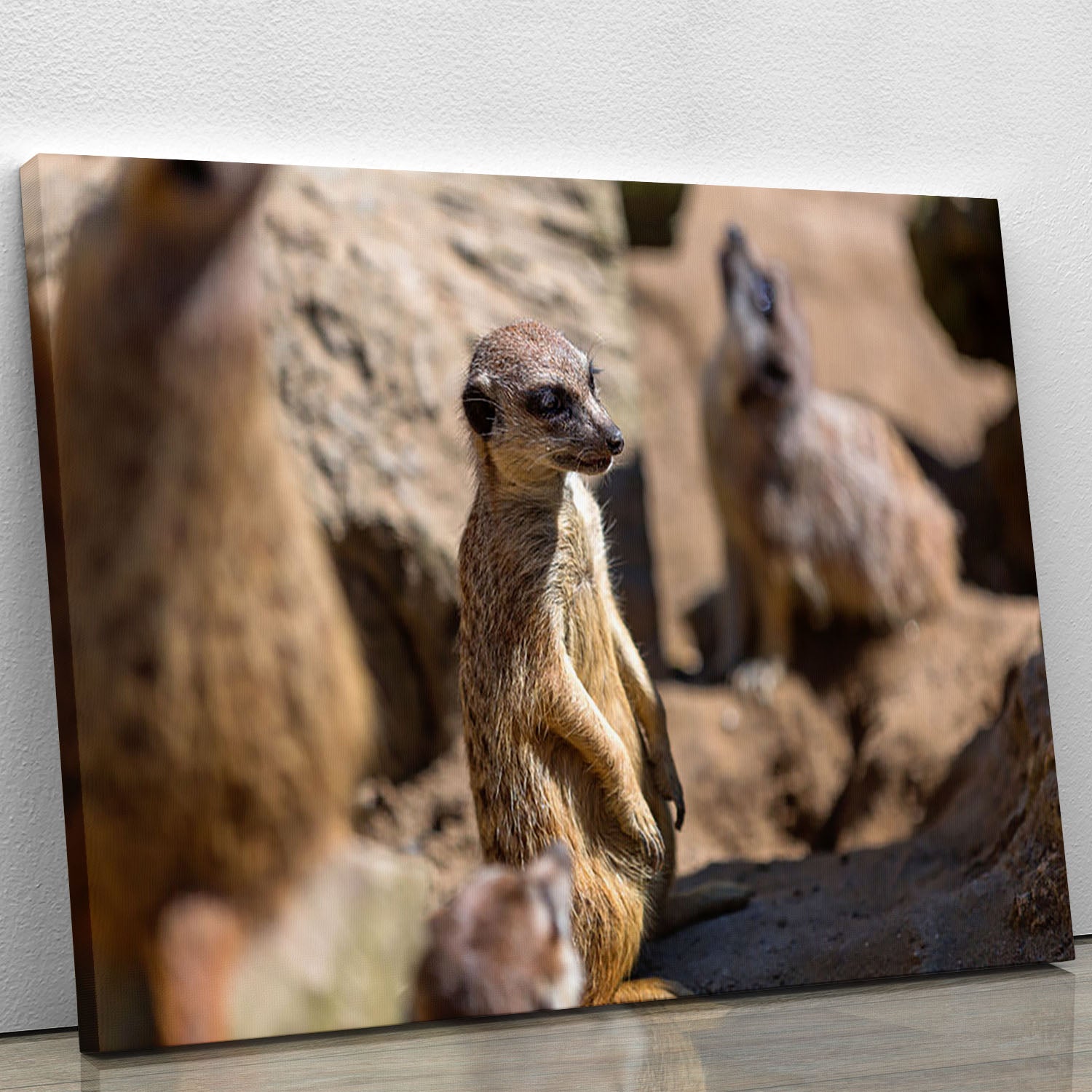 Meerkats in the wild Canvas Print or Poster - Canvas Art Rocks - 1