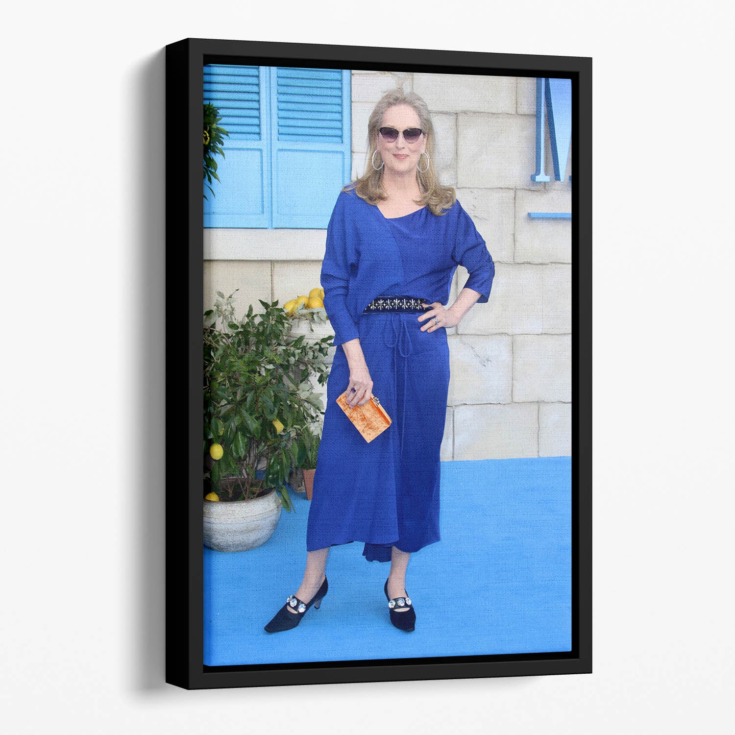 Meryl Streep Mamma Mia Floating Framed Canvas