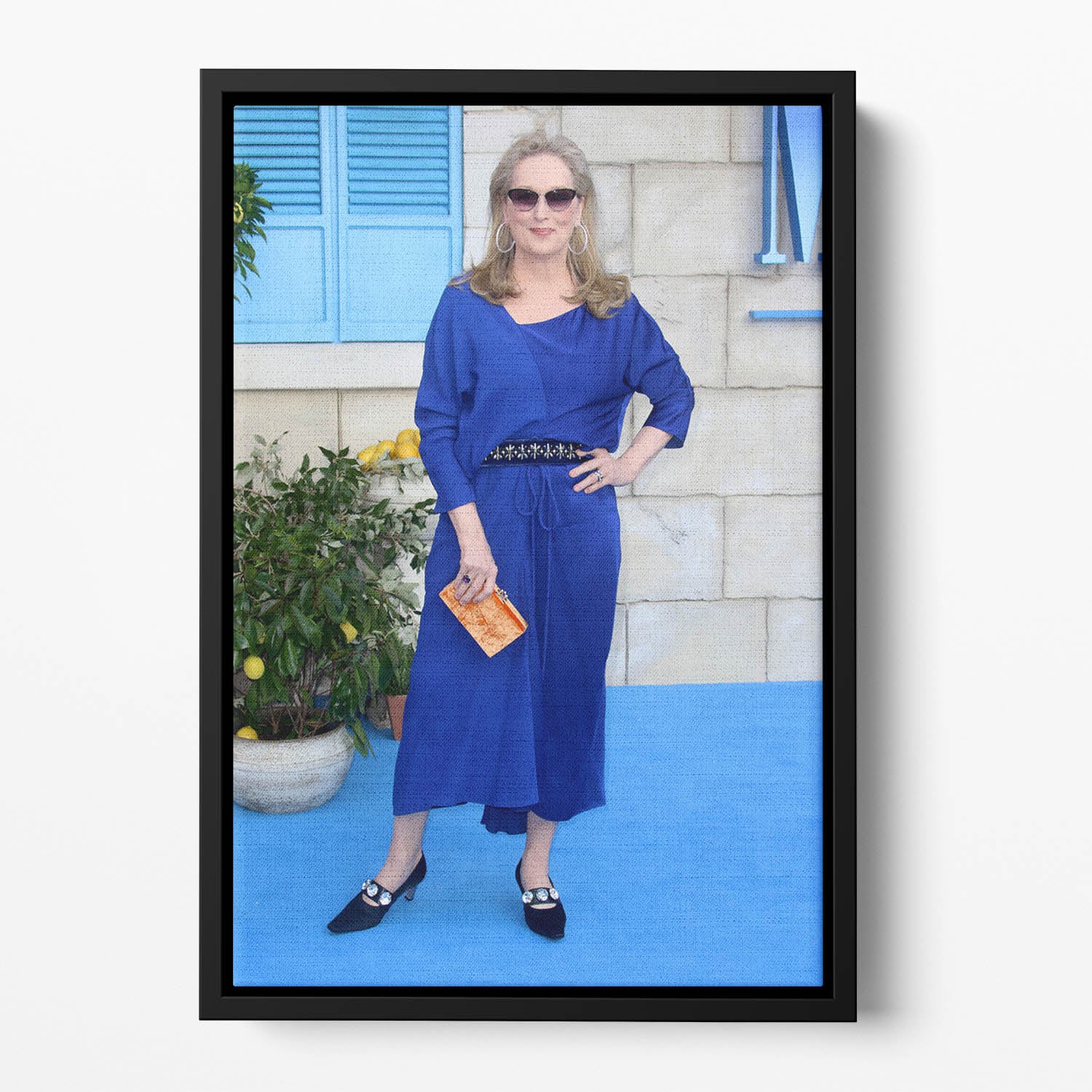 Meryl Streep Mamma Mia Floating Framed Canvas