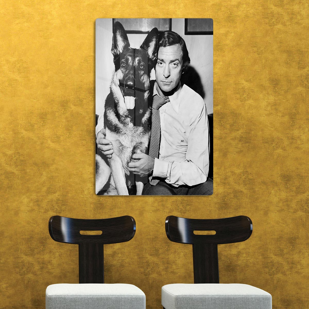 Michael Caine and dog HD Metal Print