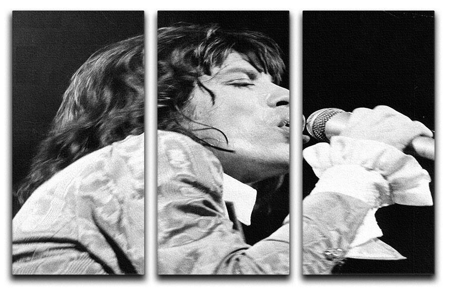 Mick Jagger belts it out 3 Split Panel Canvas Print - Canvas Art Rocks - 1