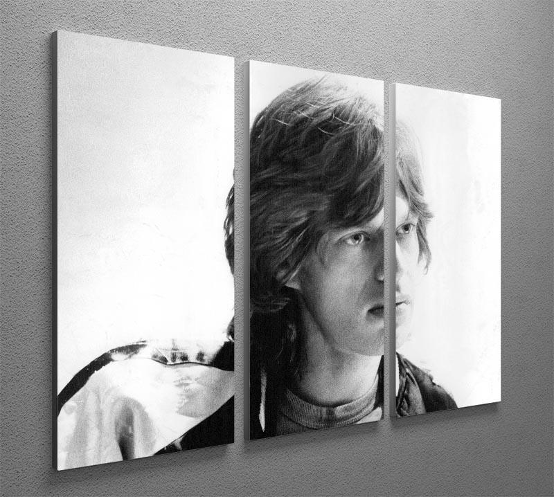 Mick Jagger in profile 3 Split Panel Canvas Print - Canvas Art Rocks - 2