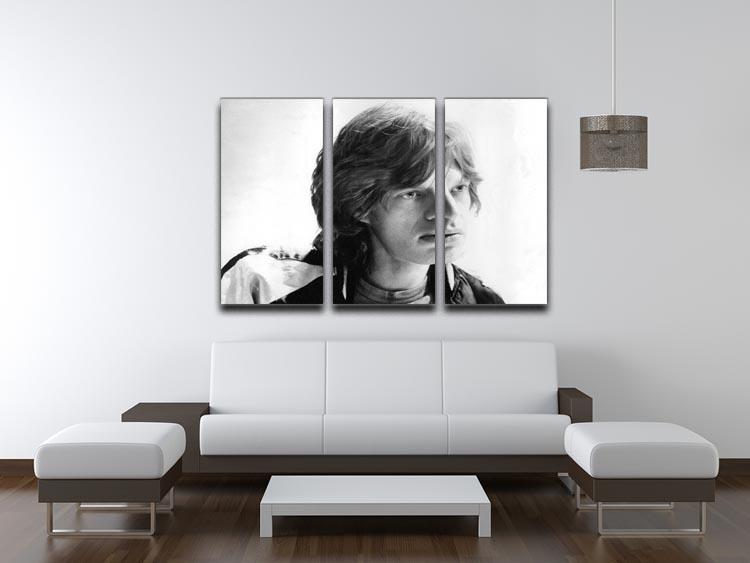 Mick Jagger in profile 3 Split Panel Canvas Print - Canvas Art Rocks - 3