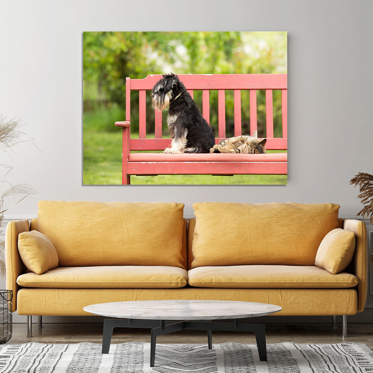 Miniature schnauzer turned back to its cat friend Canvas Print or Poster - Canvas Art Rocks - 4