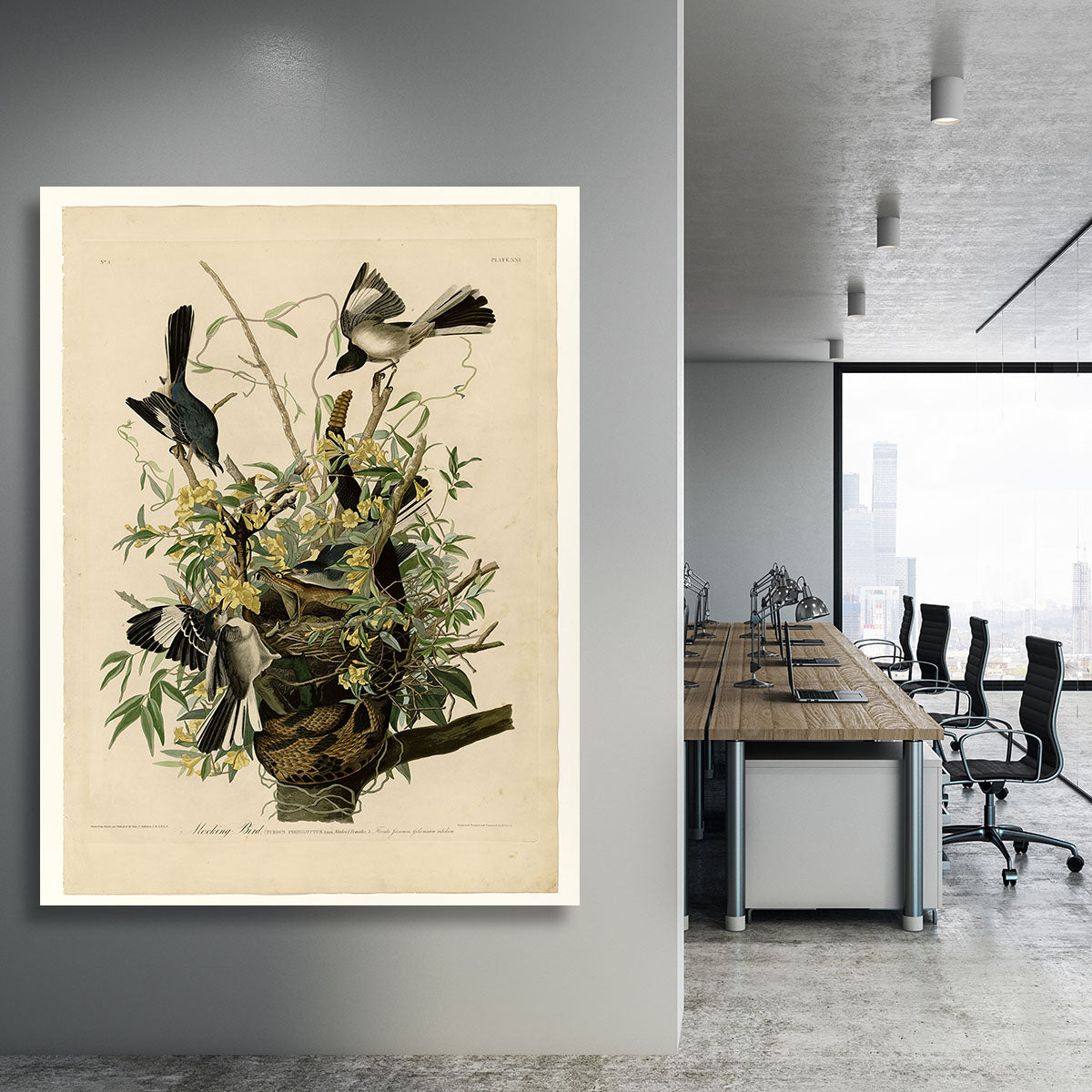 Mocking Bird by Audubon Canvas Print or Poster - Canvas Art Rocks - 3