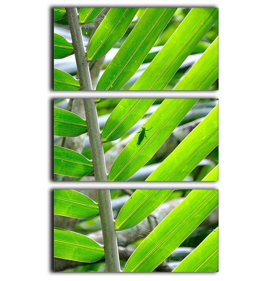 Morning in the forest 3 Split Panel Canvas Print - Canvas Art Rocks - 1