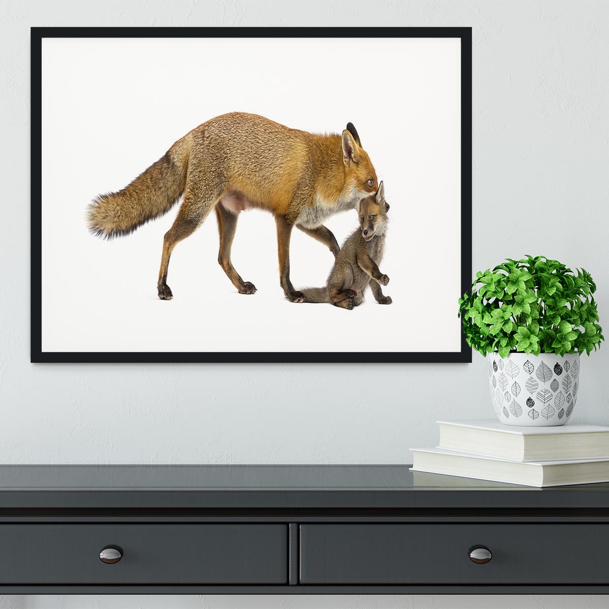 Mother fox carrying her cub Framed Print - Canvas Art Rocks - 1