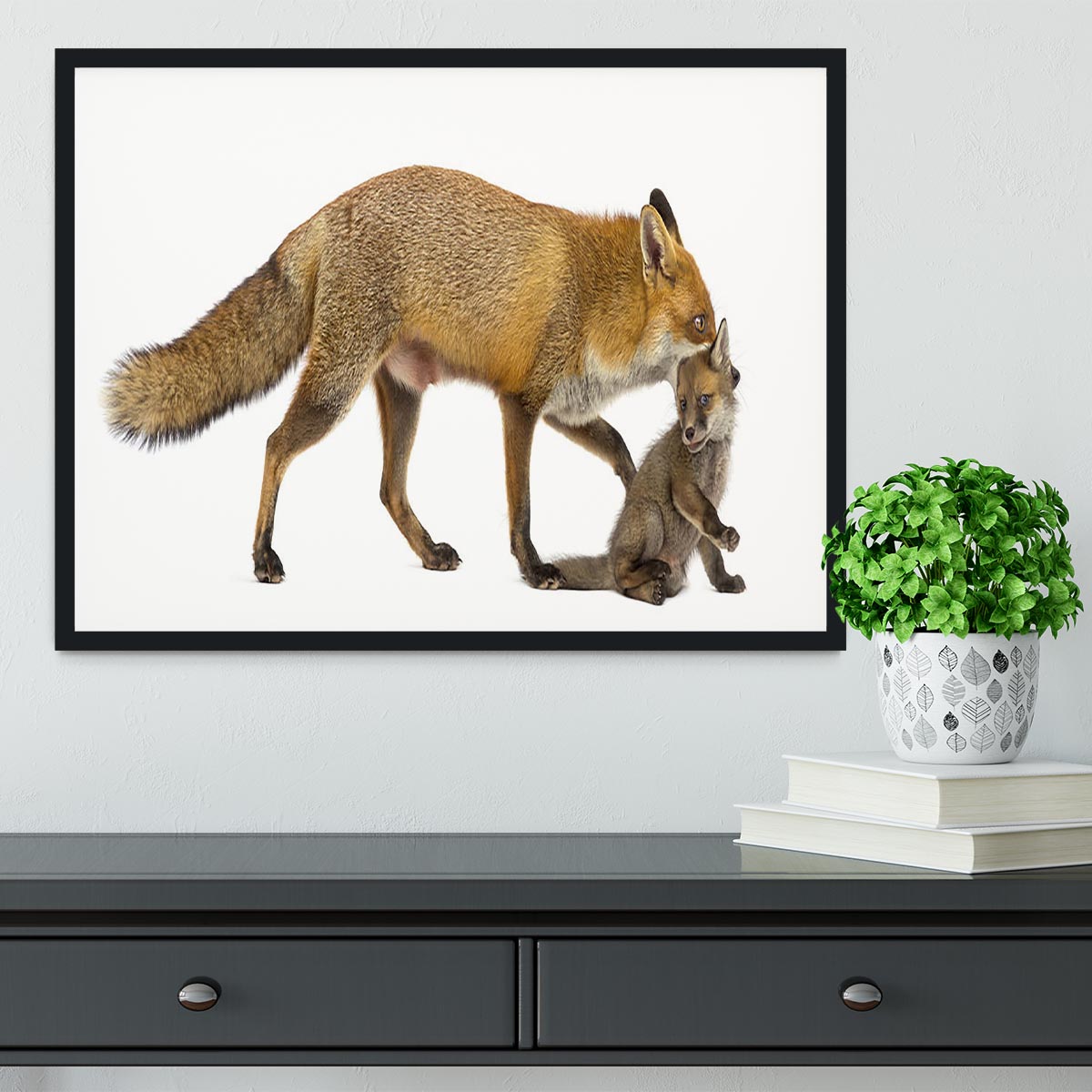Mother fox carrying her cub Framed Print - Canvas Art Rocks - 2