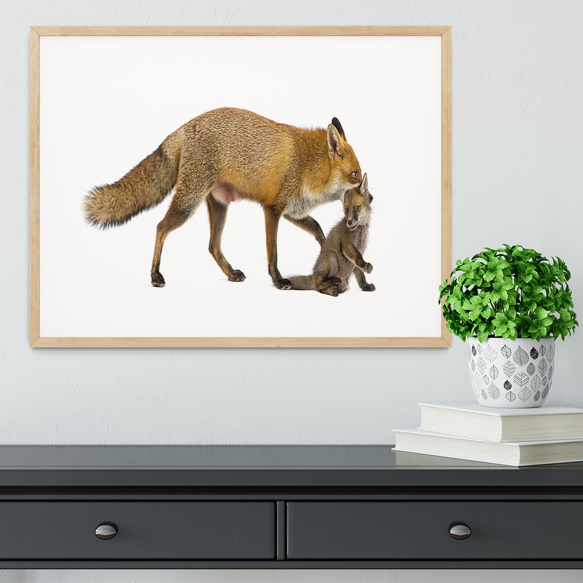 Mother fox carrying her cub Framed Print - Canvas Art Rocks - 3