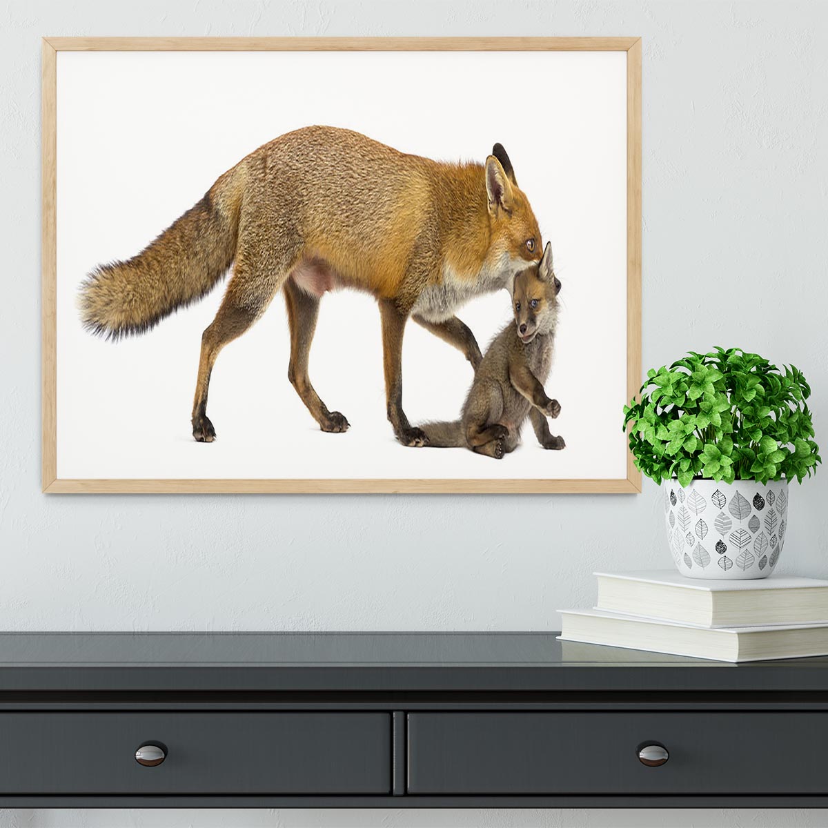 Mother fox carrying her cub Framed Print - Canvas Art Rocks - 4