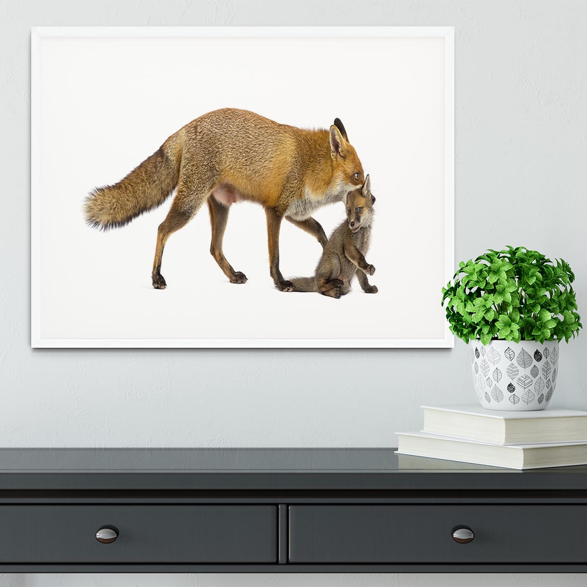 Mother fox carrying her cub Framed Print - Canvas Art Rocks - 5