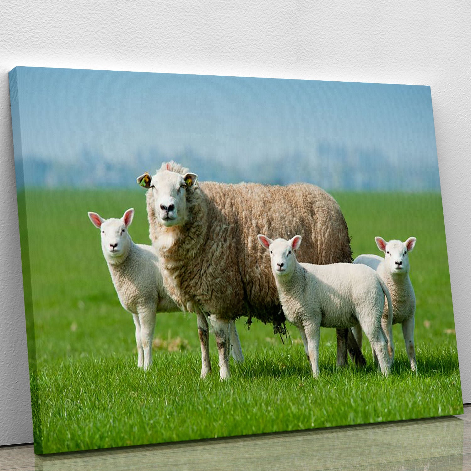 Mother sheep and her lambs in spring Canvas Print or Poster - Canvas Art Rocks - 1