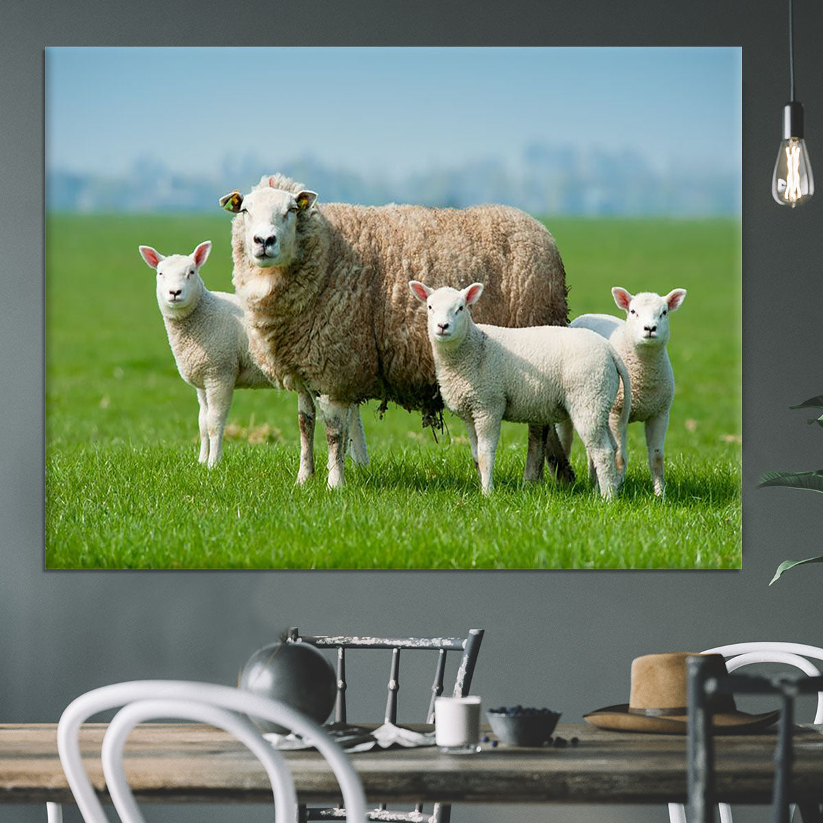 Mother sheep and her lambs in spring Canvas Print or Poster - Canvas Art Rocks - 3