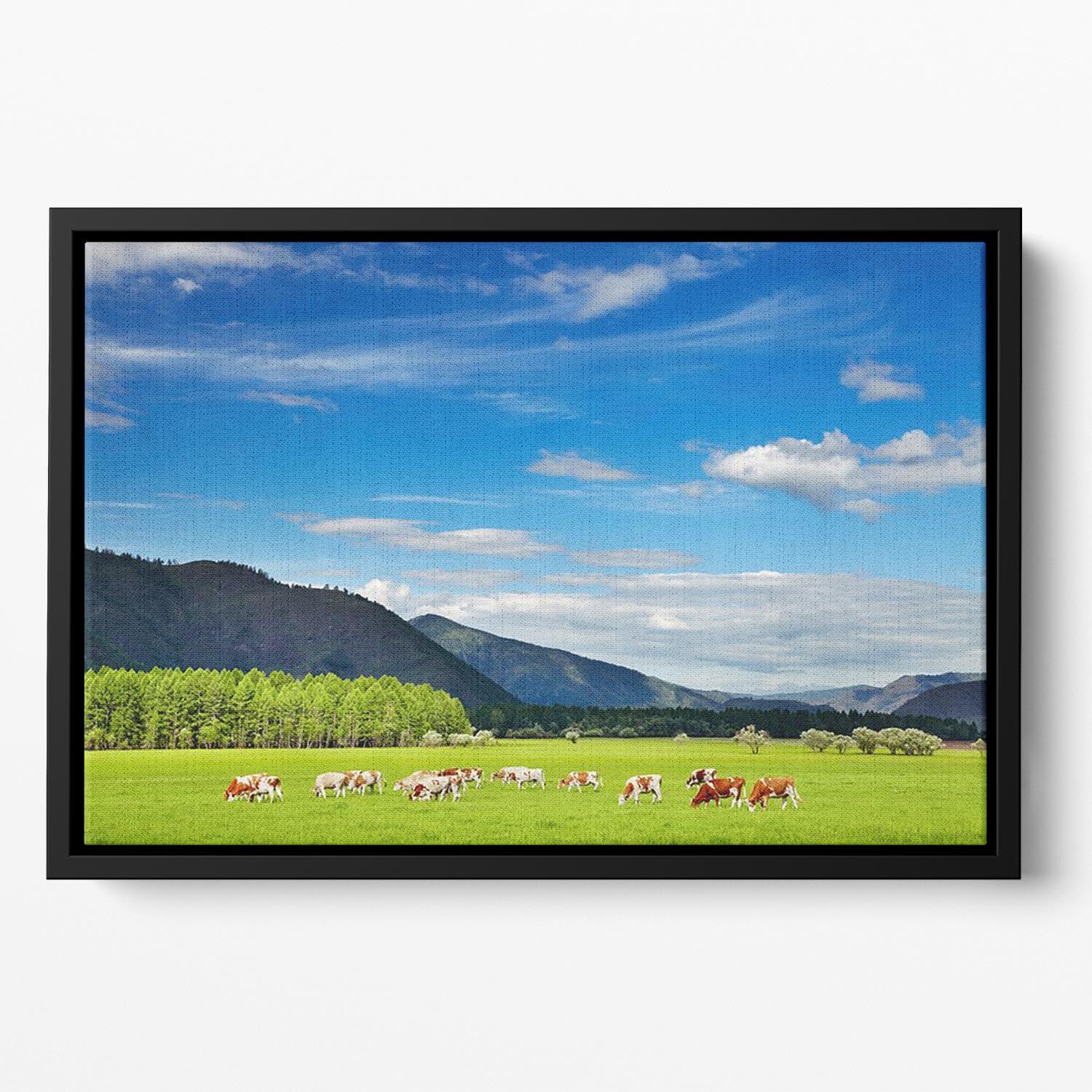 Mountain landscape with grazing cows and sky Floating Framed Canvas - Canvas Art Rocks - 2
