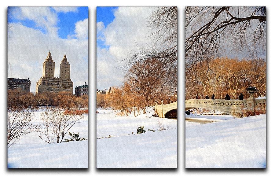 New York Manhattan Central Park panorama winter 3 Split Panel Canvas Print - Canvas Art Rocks - 1