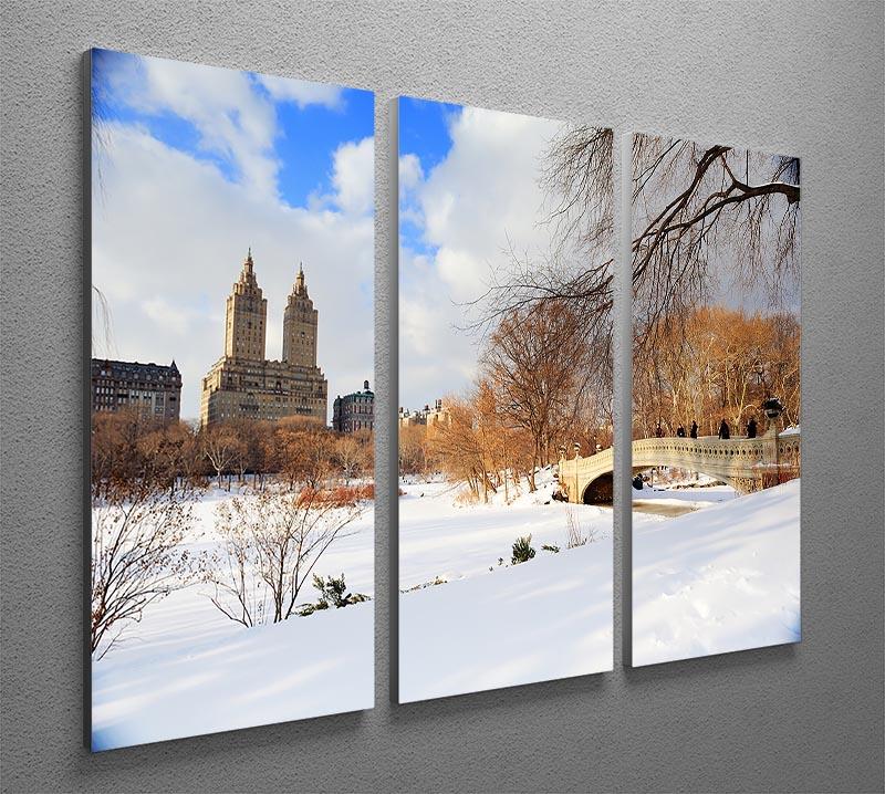 New York Manhattan Central Park panorama winter 3 Split Panel Canvas Print - Canvas Art Rocks - 2
