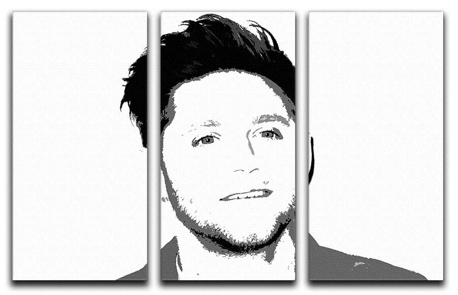 Niall Horan of One Direction Black and White Pop Art 3 Split Panel Canvas Print - Canvas Art Rocks - 1
