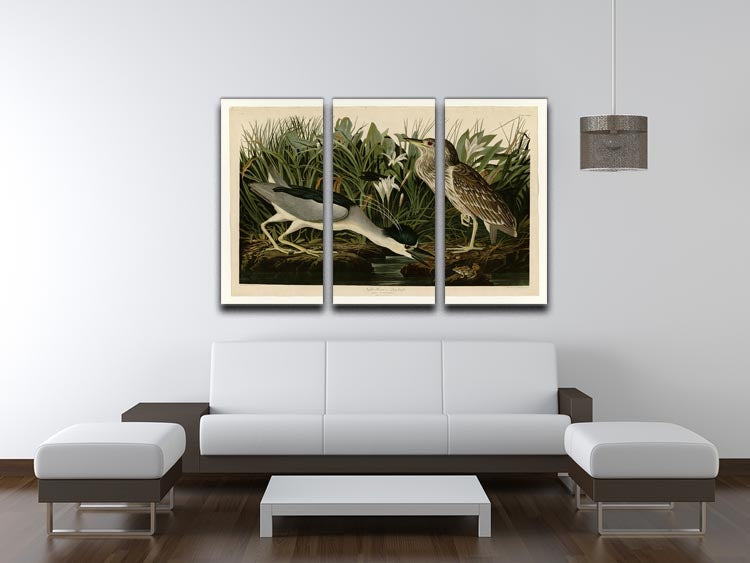 Night Heron by Audubon 3 Split Panel Canvas Print - Canvas Art Rocks - 3