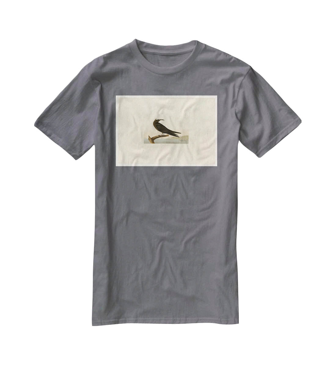 Noddy Tern by Audubon T-Shirt - Canvas Art Rocks - 3
