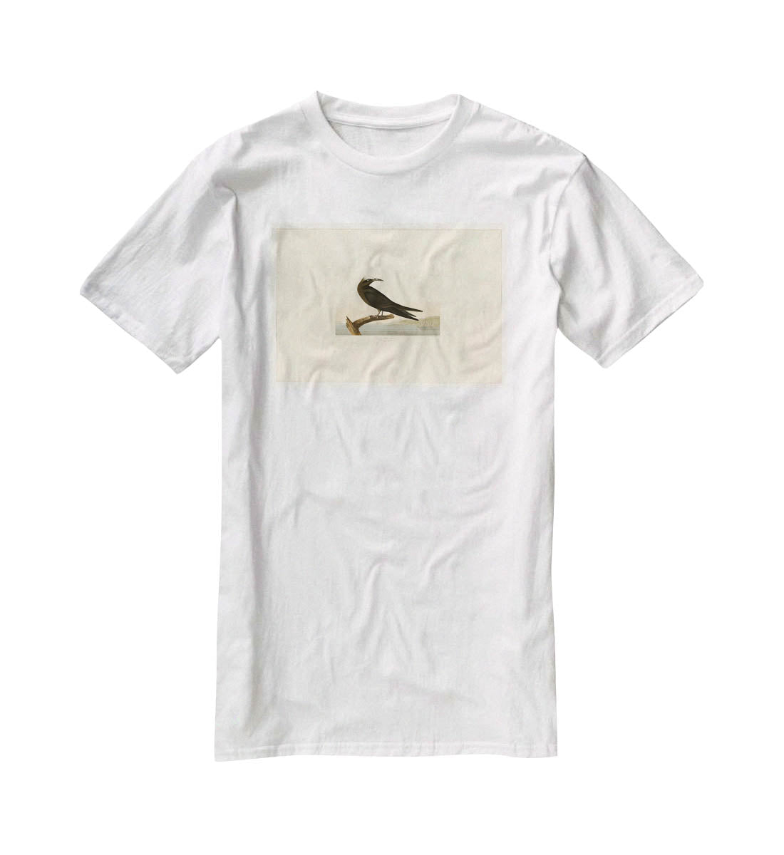 Noddy Tern by Audubon T-Shirt - Canvas Art Rocks - 5