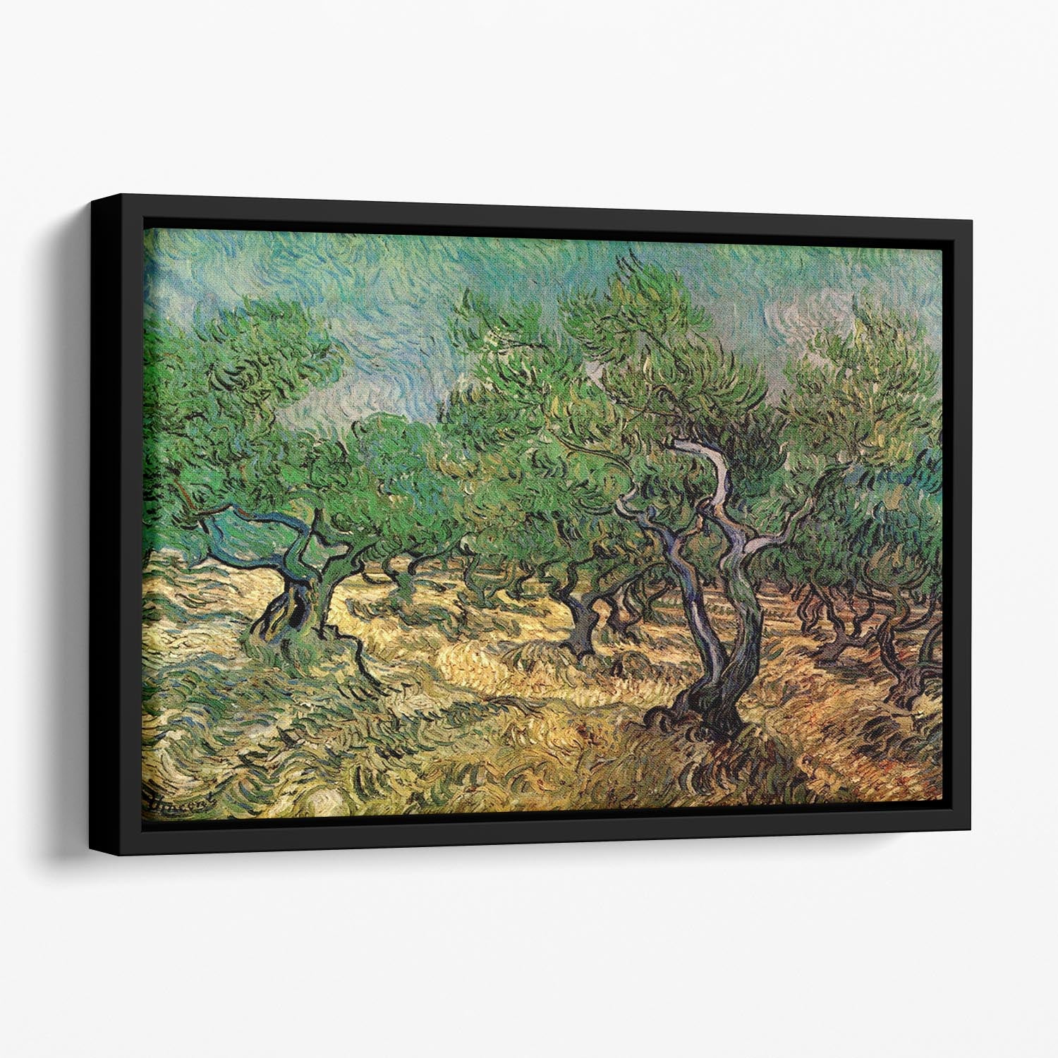 Olive Grove 2 by Van Gogh Floating Framed Canvas