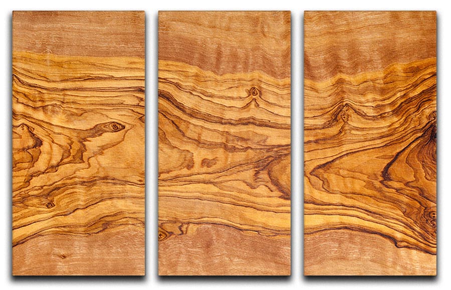 Olive tree wood slice 3 Split Panel Canvas Print - Canvas Art Rocks - 1