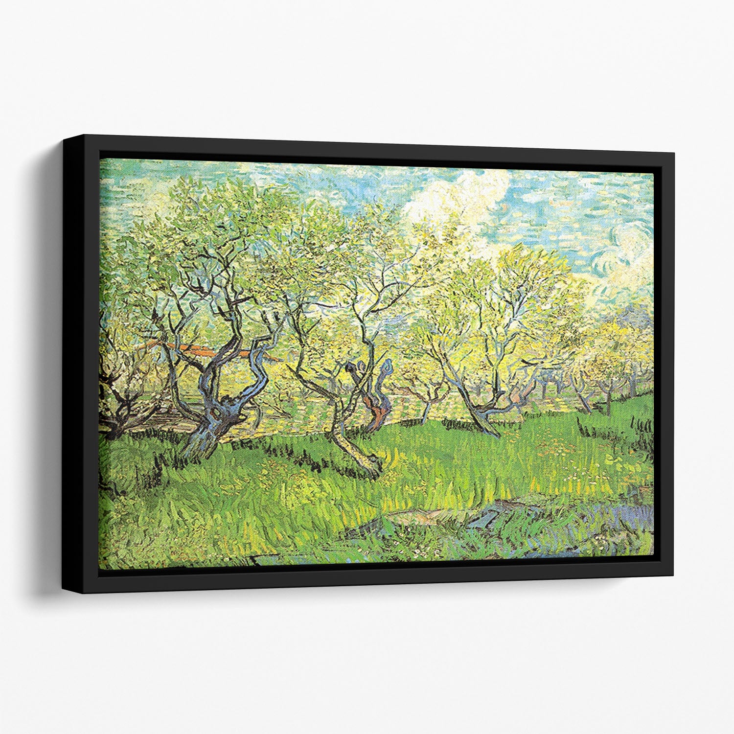 Orchard in Blossom 2 by Van Gogh Floating Framed Canvas