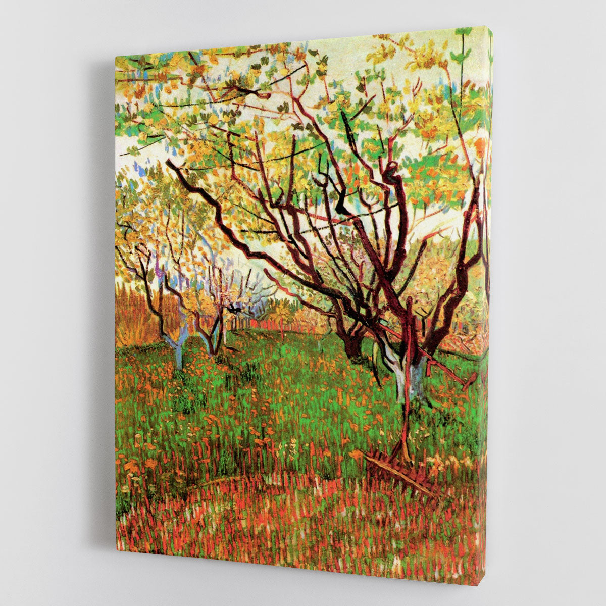 Orchard in Blossom by Van Gogh Canvas Print or Poster - Canvas Art Rocks - 1
