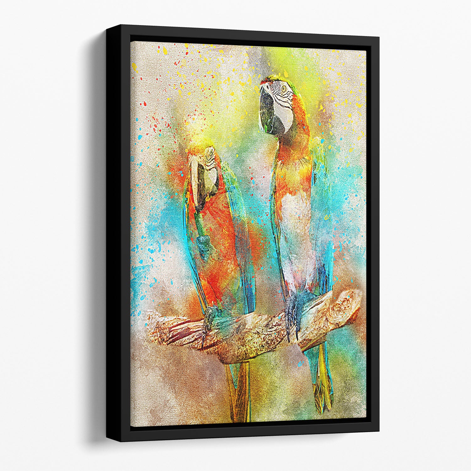 Pair Of Parrots Floating Framed Canvas