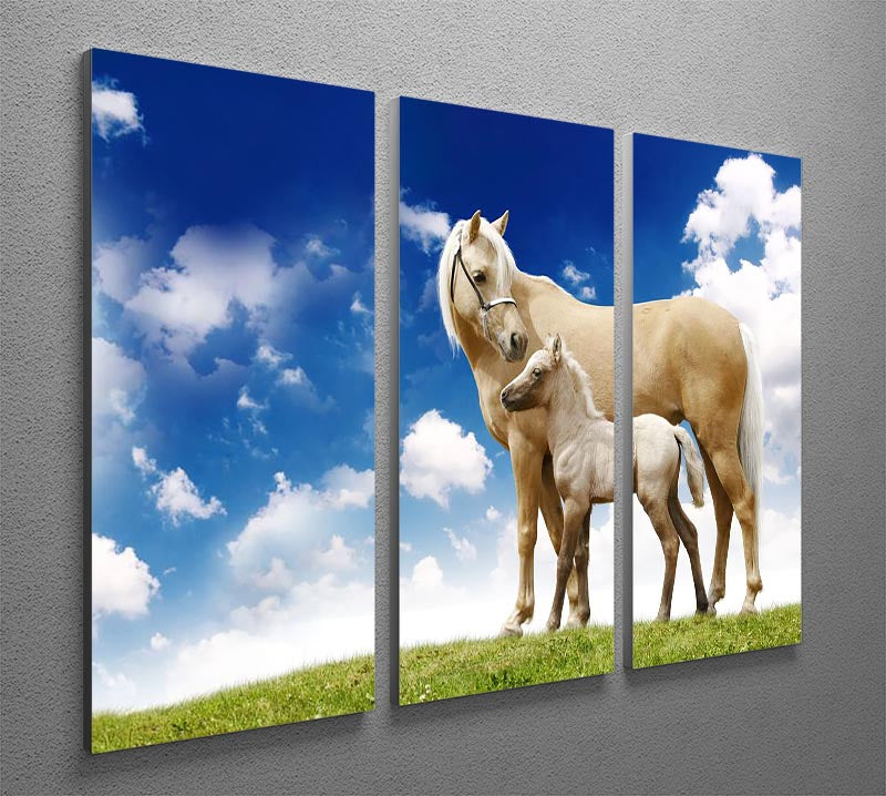 Palomino horses on grey gradient 3 Split Panel Canvas Print - Canvas Art Rocks - 2