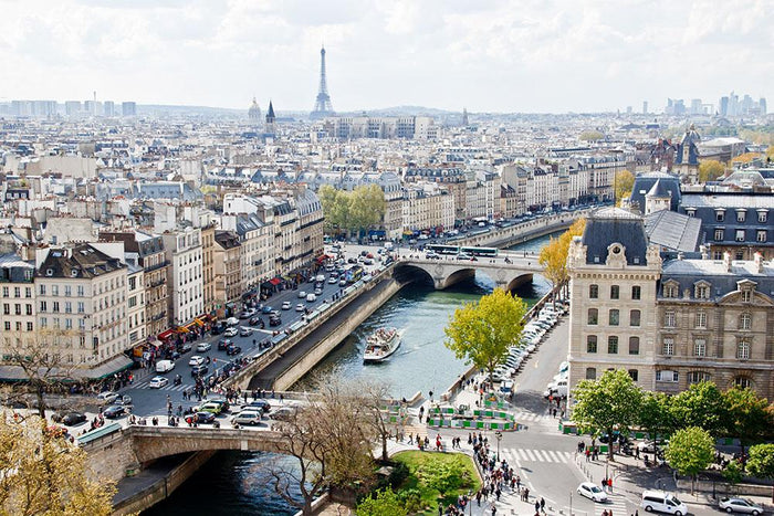 Paris skyline from the top of Notre Dame Wall Mural Wallpaper