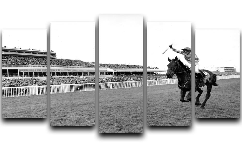 Party Politics romps home in the Grand National 5 Split Panel Canvas - Canvas Art Rocks - 1