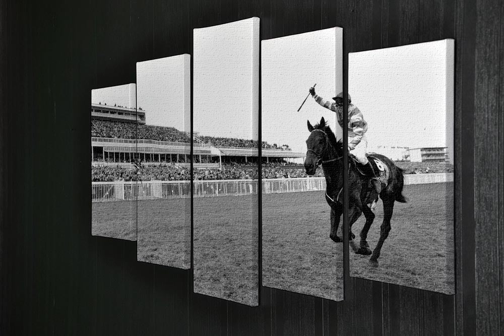 Party Politics romps home in the Grand National 5 Split Panel Canvas - Canvas Art Rocks - 2