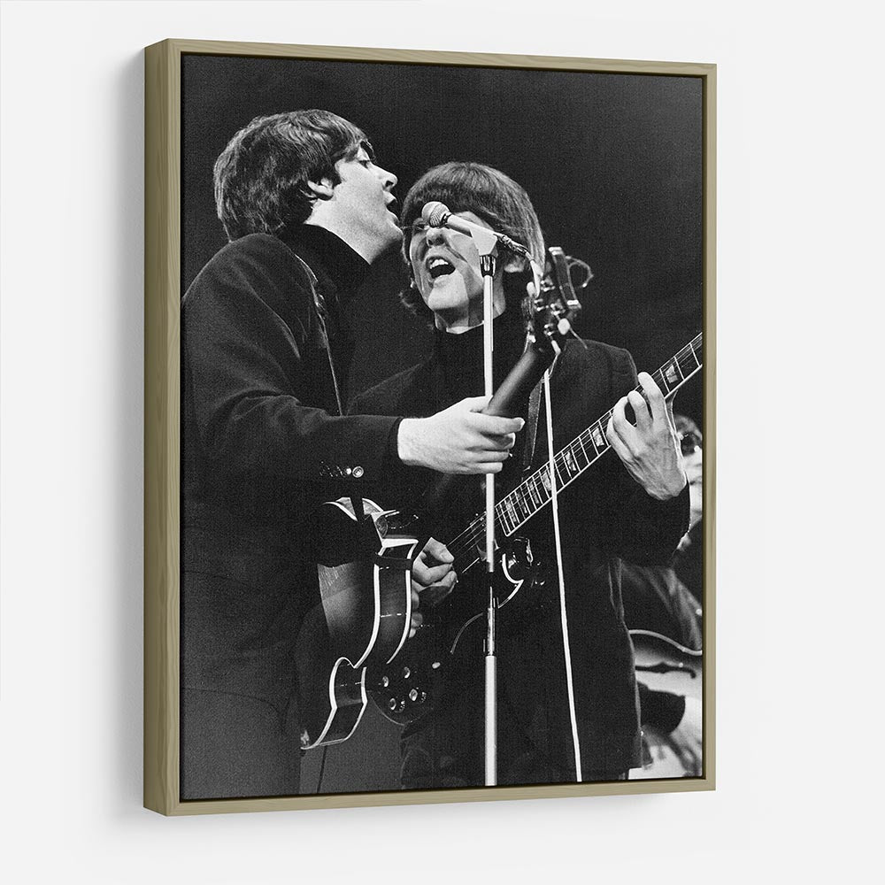 Paul McCartney and George Harrison on stage HD Metal Print