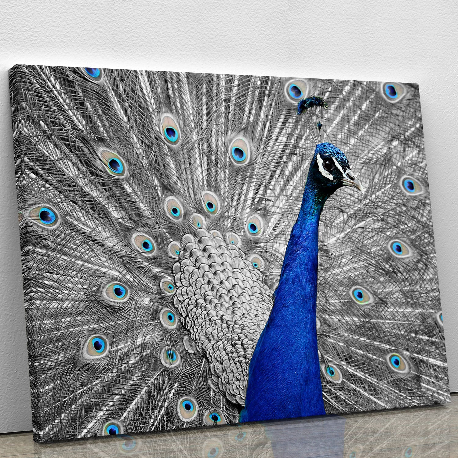 Peacock Canvas Print or Poster - Canvas Art Rocks - 1