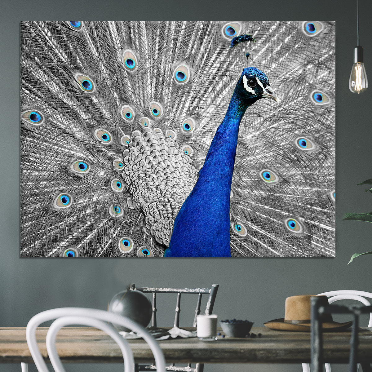 Peacock Canvas Print or Poster - Canvas Art Rocks - 3
