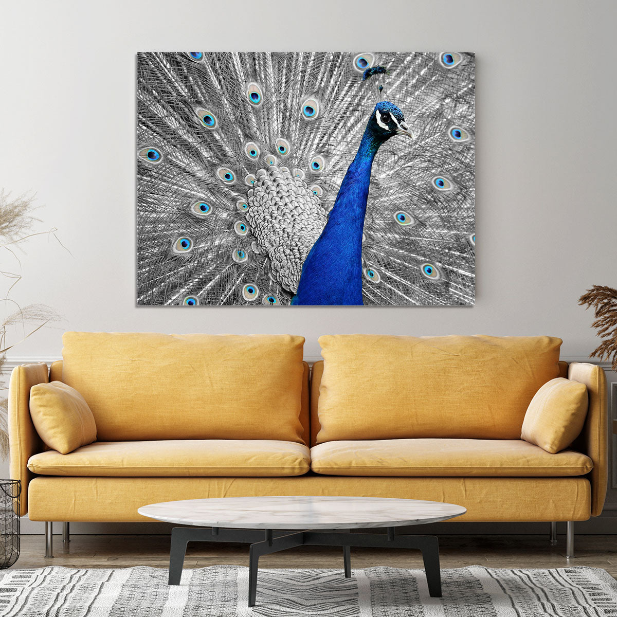 Peacock Canvas Print or Poster - Canvas Art Rocks - 4