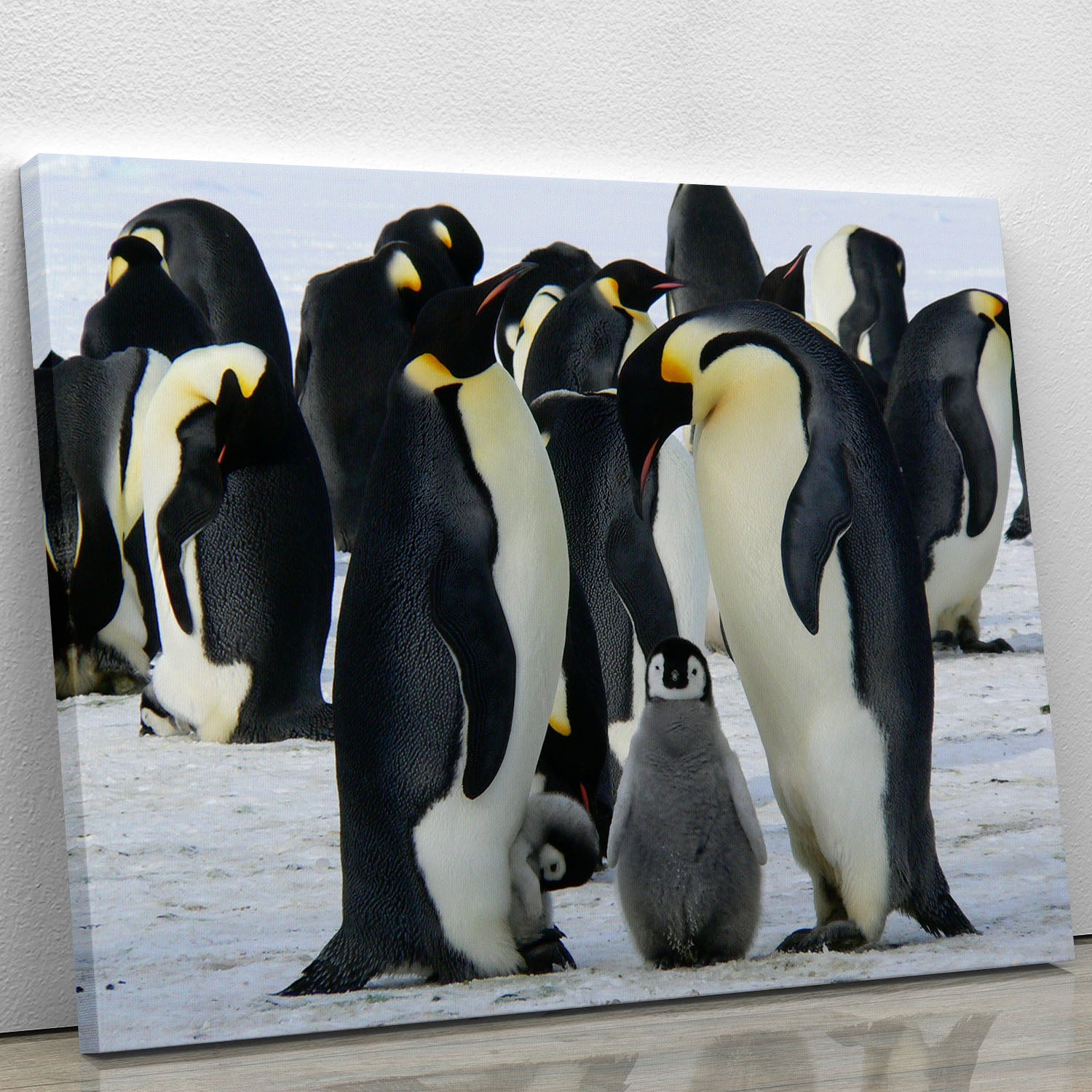 Penguins Canvas Print or Poster - Canvas Art Rocks - 1