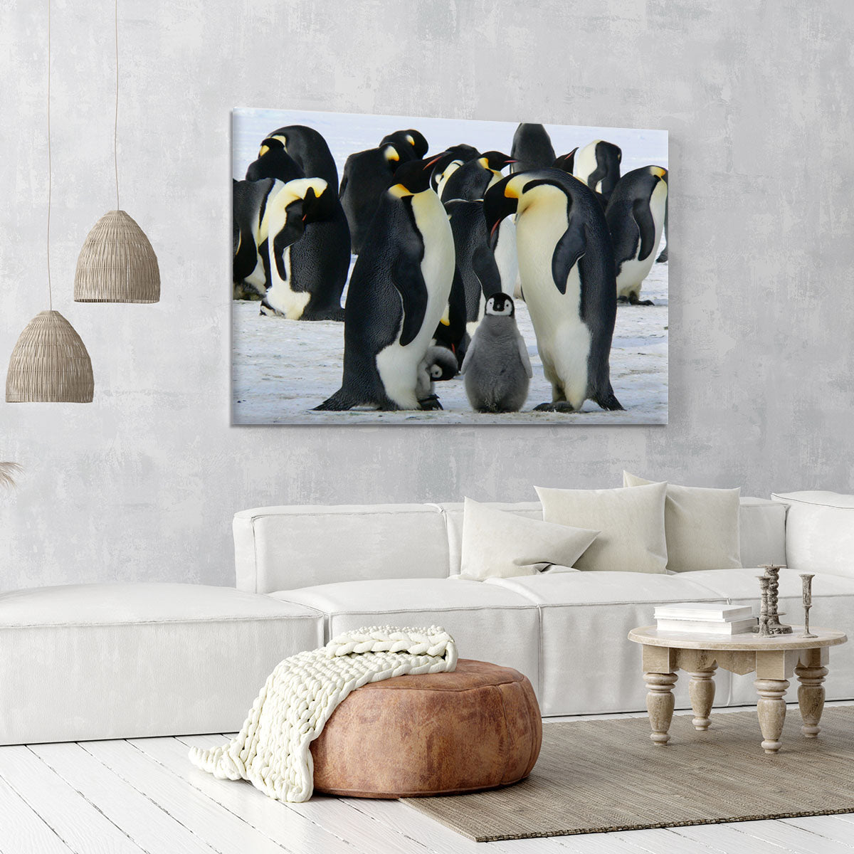 Penguins Canvas Print or Poster - Canvas Art Rocks - 6