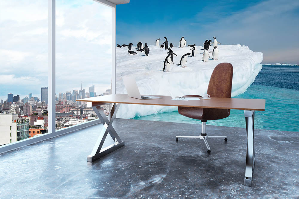Penguins on Iceberg Wall Mural Wallpaper - Canvas Art Rocks - 3