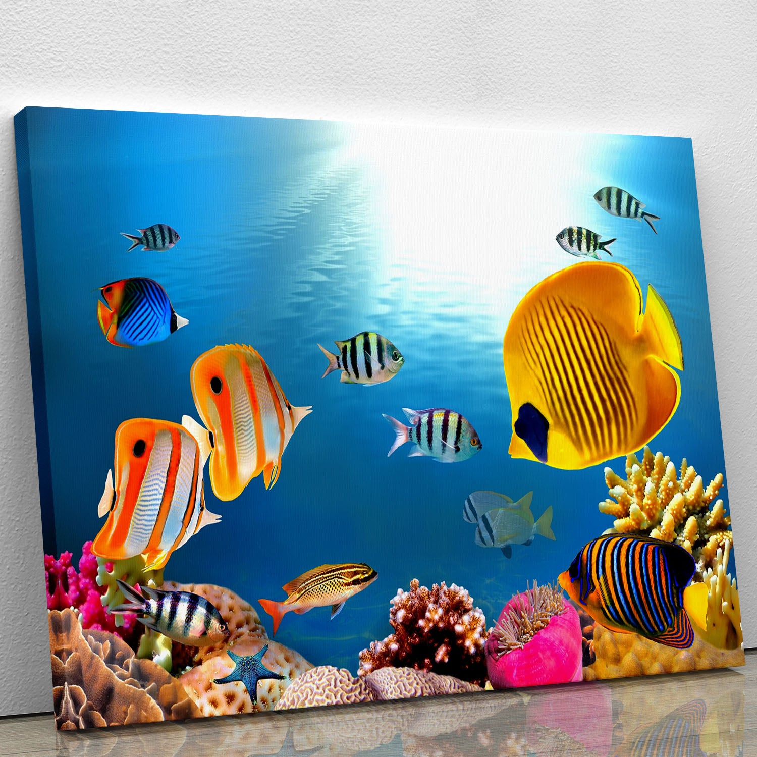 Photo of a coral colony Canvas Print or Poster - Canvas Art Rocks - 1